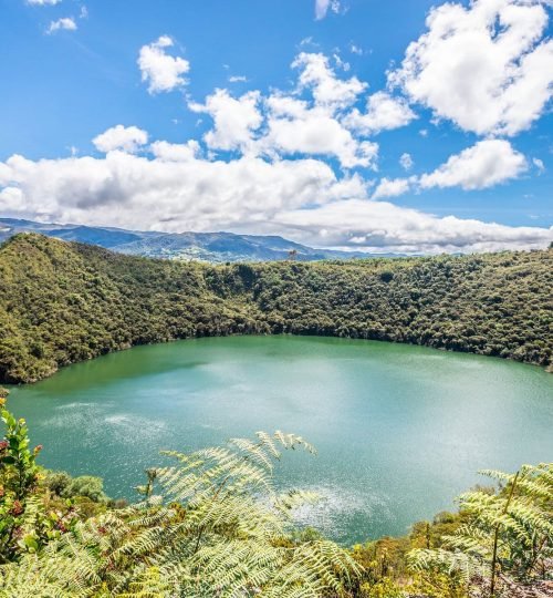 imagen de whatsapp 2025 01 27 a las 11.55.16 ff1fc6c2