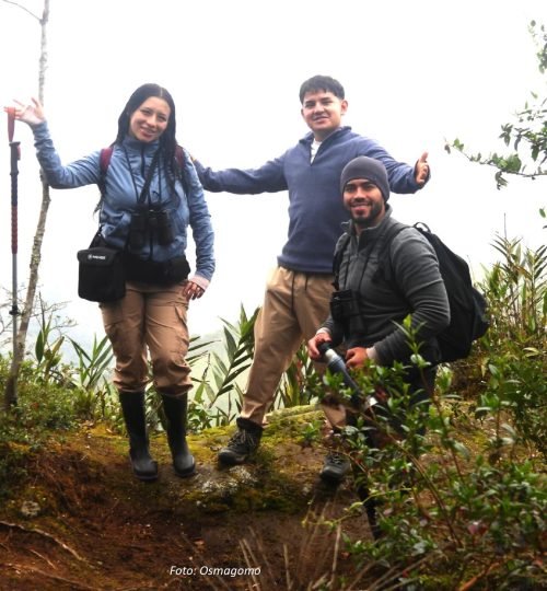 campamento caminata